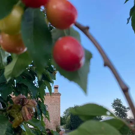 Vila-seca Vall D'amunt, Vine I Desconnecta! Villa Aguilar de Segarra