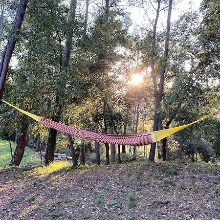 Villa Vila-seca Vall D'amunt, Vine I Desconnecta!