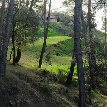 Vila-seca Vall D'amunt, Vine I Desconnecta! *