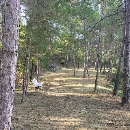 Βίλα Vila-seca Vall D'amunt, Vine I Desconnecta!