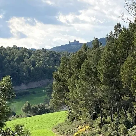 Vila-seca Vall D'amunt, Vine I Desconnecta! * Aguilar de Segarra