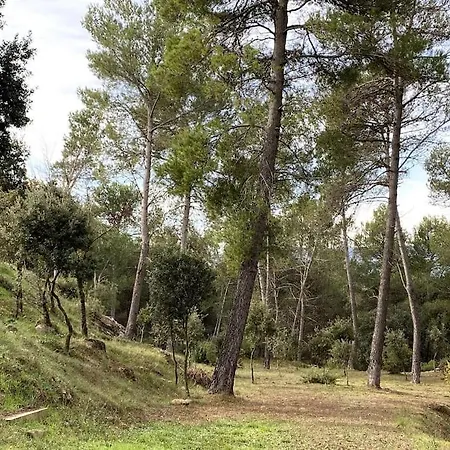 Vila-seca Vall D'amunt, Vine I Desconnecta! Aguilar de Segarra